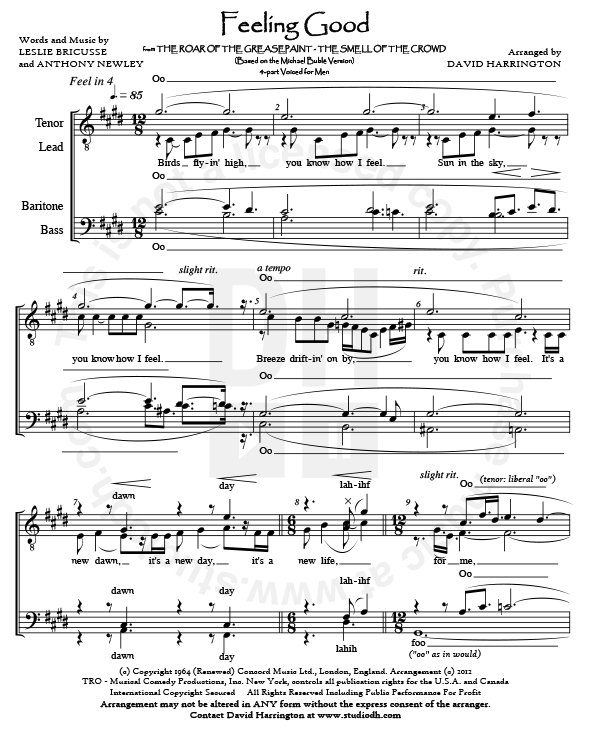 feeling good mens 4 part chart studiodh feeling good sheet music